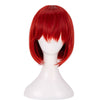 Anime The Ancient Magus' Bride Chise Hatori Cosplay Wigs