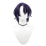 Honkai: Star Rail Dr. Ratio Cosplay Wigs