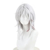 Wuthering Waves ZANI Cosplay Wigs