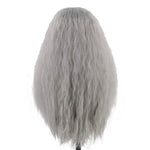 The Lord of the Rings: The Fellowship of the Ring Gandalf The Grey Cosplay Wigs