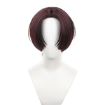 Wind Breaker Hayato Suo Cosplay Wigs