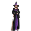 Gothic Vampire Witch Dress Halloween Cosplay Costumes