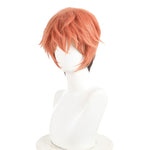 Disney Zootopia 2 Nick Wilde Cosplay Wig