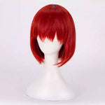 Anime The Ancient Magus' Bride Chise Hatori Cosplay Wigs