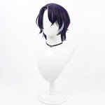 Honkai: Star Rail Dr. Ratio Cosplay Wigs