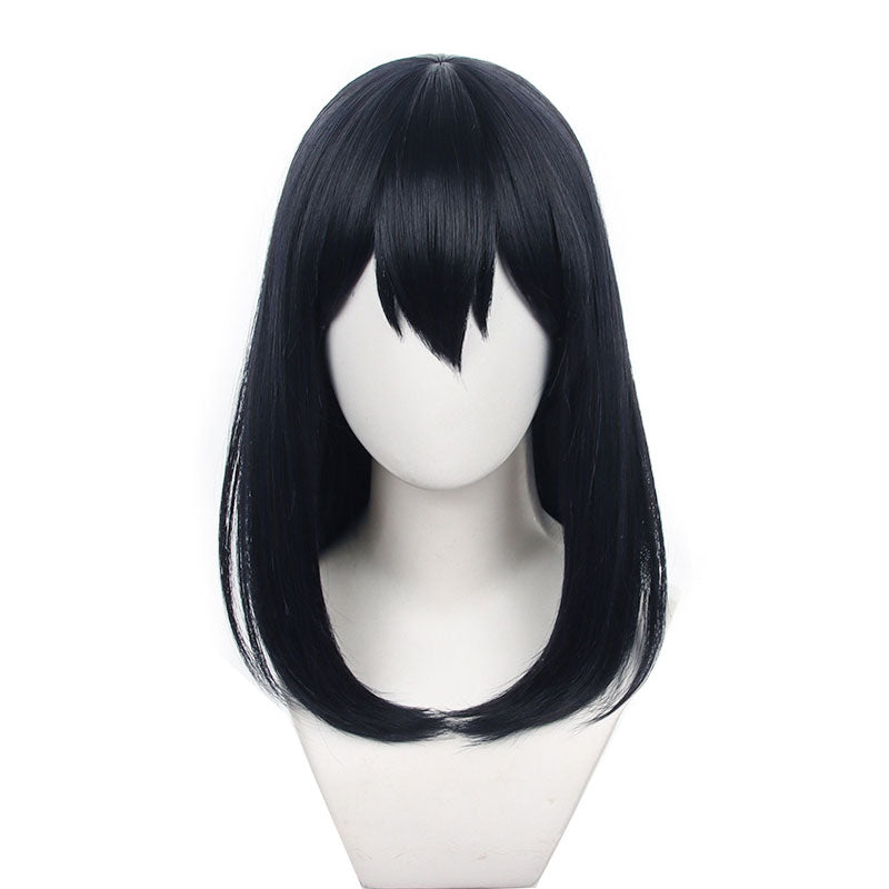 Haikyuu!! Kiyoko Shimizu Cosplay Wigs