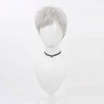 Persona 3 Akihiko Sanada Cosplay Wigs