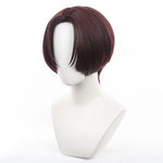 Wind Breaker Hayato Suo Cosplay Wigs