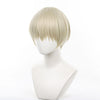 Wind Breaker Ren Kaji Cosplay Wigs