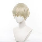 Wind Breaker Ren Kaji Cosplay Wigs