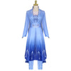 Movie Frozen 2 Elsa Snow Princess Dress Fullset Cosplay Costumes