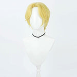 One Piece Sabo Cosplay Wigs