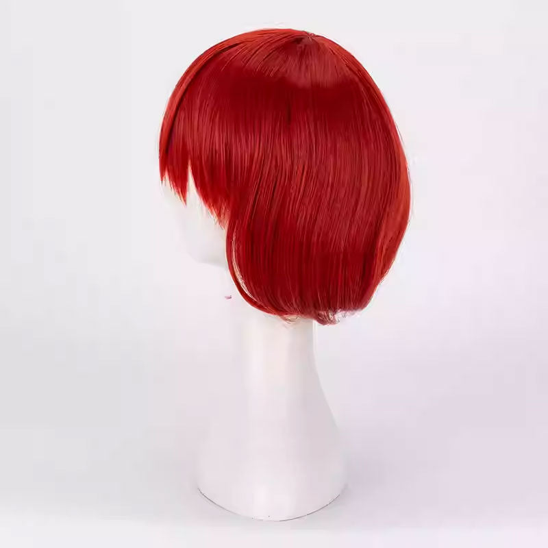 Anime The Ancient Magus' Bride Chise Hatori Cosplay Wigs