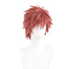 The Fragrant Flower Blooms with Dignity Shohei Usami Cosplay Wigs