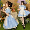 French Halloween Alice On The Run Blue Maid Dress Cosplay Costumes