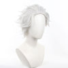 Wind Breaker Hajime Umemiya Cosplay Wig