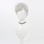 Persona 3 Akihiko Sanada Cosplay Wigs