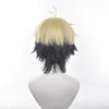 Anime Link Click Xia Fei Cosplay Wigs