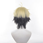 Anime Link Click Xia Fei Cosplay Wigs