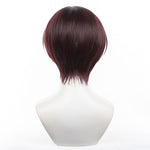 Wind Breaker Hayato Suo Cosplay Wigs