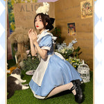 French Halloween Alice On The Run Blue Maid Dress Cosplay Costumes