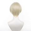 Wind Breaker Ren Kaji Cosplay Wigs