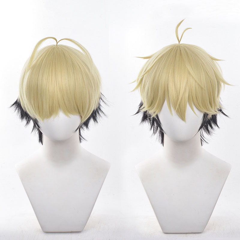 Anime Link Click Xia Fei Cosplay Wigs
