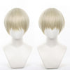 Wind Breaker Ren Kaji Cosplay Wigs