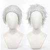 Wind Breaker Hajime Umemiya Cosplay Wig