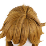 Game The Legend of Zelda: Breath of the Wild Link Cosplay Wig