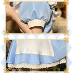 French Halloween Alice On The Run Blue Maid Dress Cosplay Costumes