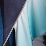 Honkai: Star Rail Anaxa Cosplay Costumes