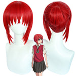 Anime The Ancient Magus' Bride Chise Hatori Cosplay Wigs