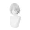 FGO Fate/Grand Order Lang Lin Wang 30cm Short Silver Grey Halloween Cosplay Wigs - Cosplay Clans