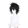 Anime The Rising of The Shield Hero Naofumi Iwatani Cosplay Wigs