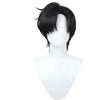 Anime Sailor Moon Mamoru Chiba Cosplay Wig