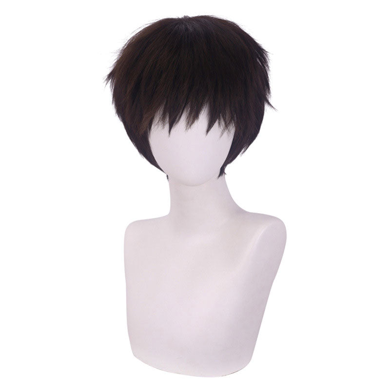 Anime EVA Neon Genesis Evangelion Shinji Ikari Halloween Cosplay Wig