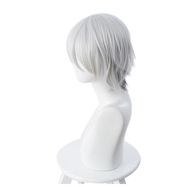 FGO Fate/Grand Order Lang Lin Wang 30cm Short Silver Grey Halloween Cosplay Wigs - Cosplay Clans