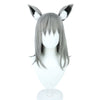 Game Blue Archive Sunaookami Shiroko Cosplay Wigs With Ear Props