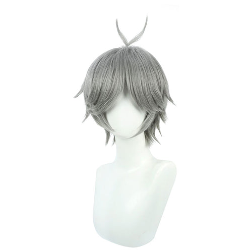 Anime Haikyuu!! Sugawara Koushi Cosplay Wigs