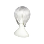 Anime Tokyo Ghoul Kaneki Ken White Cosplay Wigs - Cosplay Clans