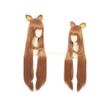 Anime The Rising Of The Shield Hero Raphtalia Long Straight Brown Cosplay Wig - Cosplay Clans