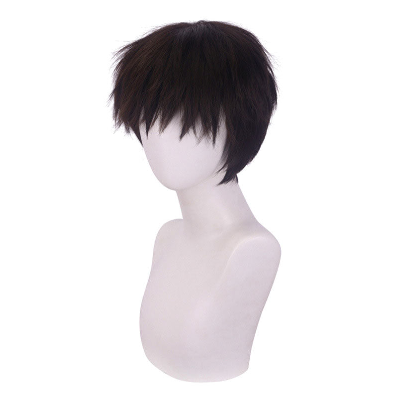 Anime EVA Neon Genesis Evangelion Shinji Ikari Halloween Cosplay Wig