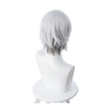 FGO Fate/Grand Order Lang Lin Wang 30cm Short Silver Grey Halloween Cosplay Wigs - Cosplay Clans