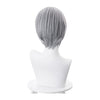 Anime Fruits Basket Soma Yuki 35cm Short Gray Cosplay Wigs - Cosplay Clans