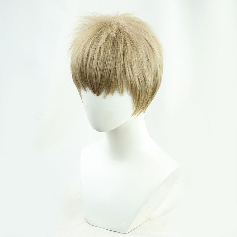 Buy Attack on Titan Last Season Falco Grice Cosplay Wigs - Fast Shipping