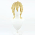 Game Fire Emblem Engage Dimitri Alexandre Blaiddyd Post-Timeskip Cosplay Wigs