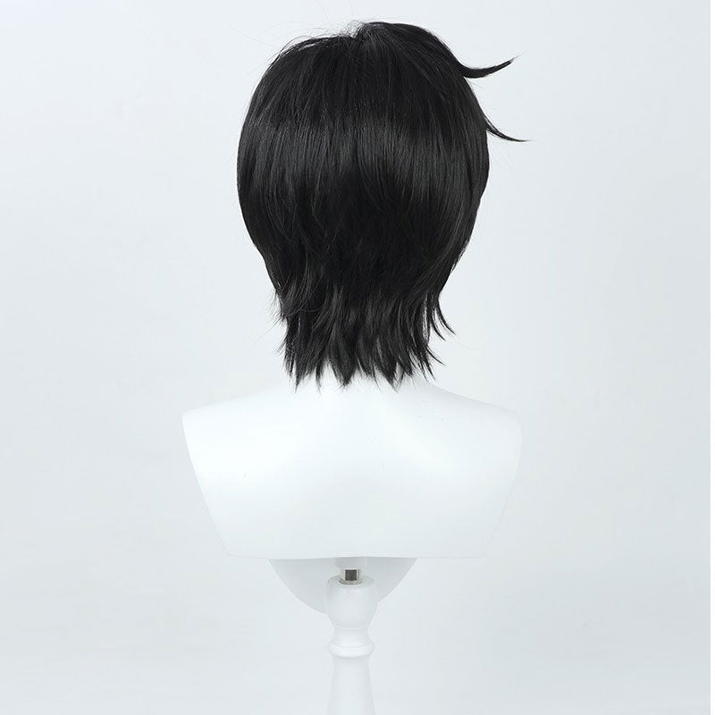 Anime Sailor Moon Mamoru Chiba Cosplay Wig