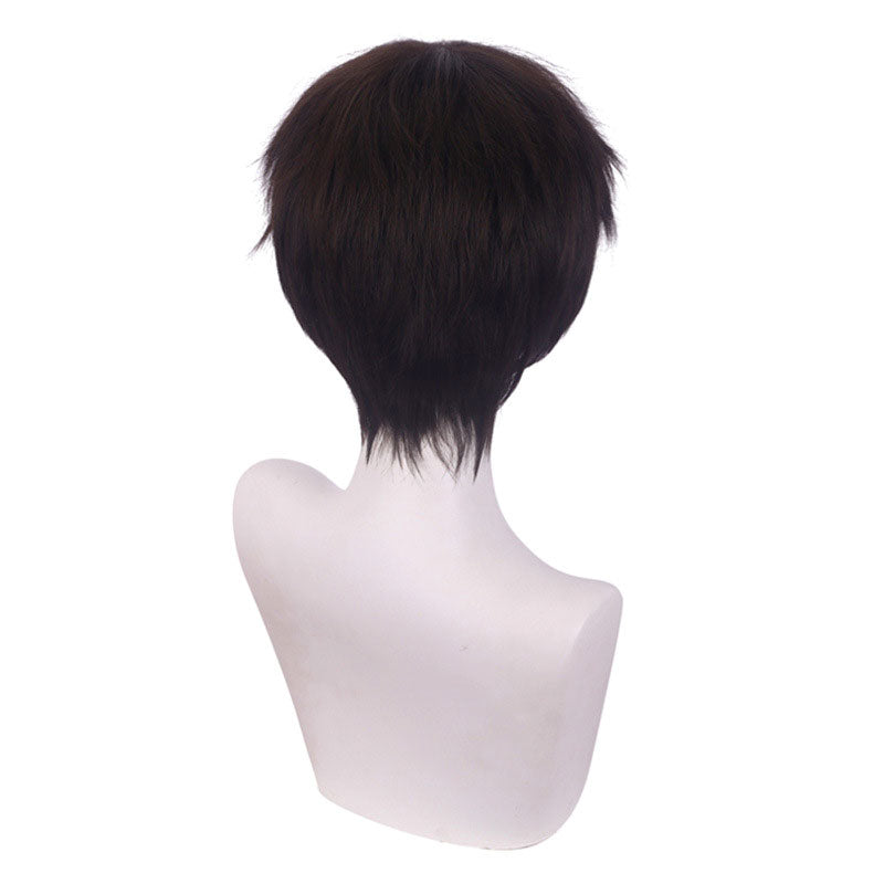 Anime EVA Neon Genesis Evangelion Shinji Ikari Halloween Cosplay Wig