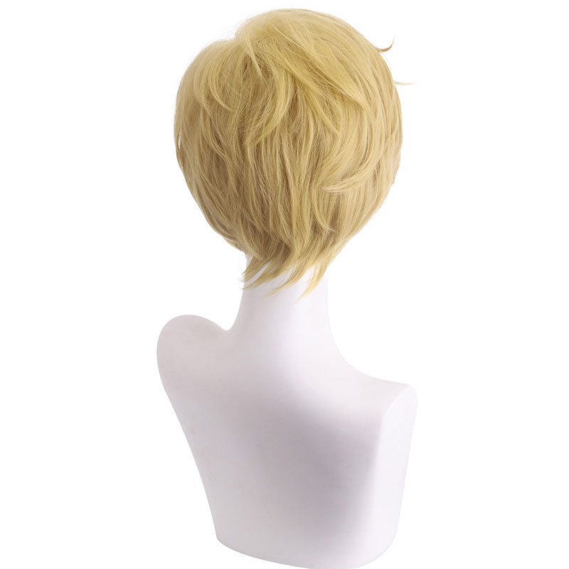 Anime Sailor Moon Haruka Tenou Sailor Uranus and Michiru Kaiou / Sailor Neptune Cosplay Wig